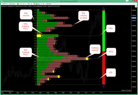 ninjatrader data feed demo